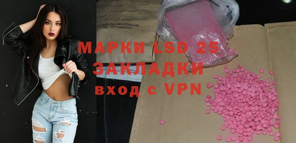 хмурый Алзамай