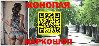 молекула духа Краснознаменск