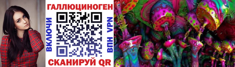 как найти   Димитровград  ОМГ ОМГ ССЫЛКА  сайты даркнета официальный сайт  Галлюциногенные грибы Psilocybe 