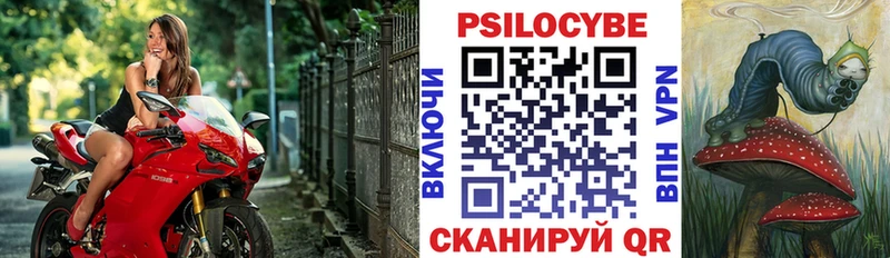 Псилоцибиновые грибы прущие грибы Димитровград