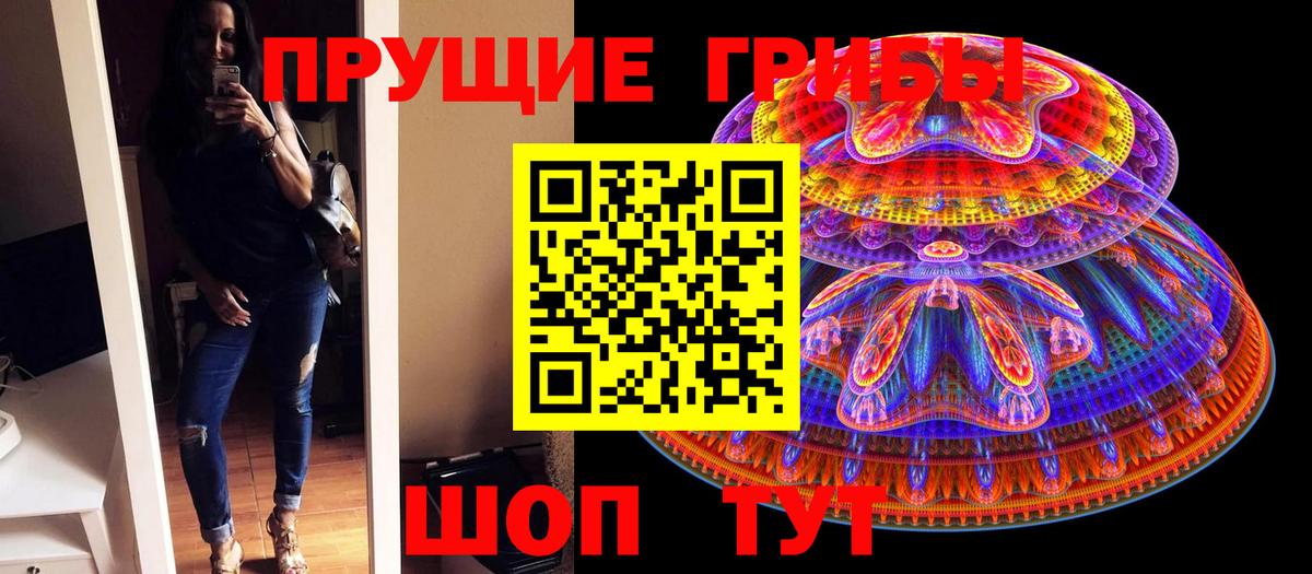 Галлюциногенные грибы Cubensis Димитровград