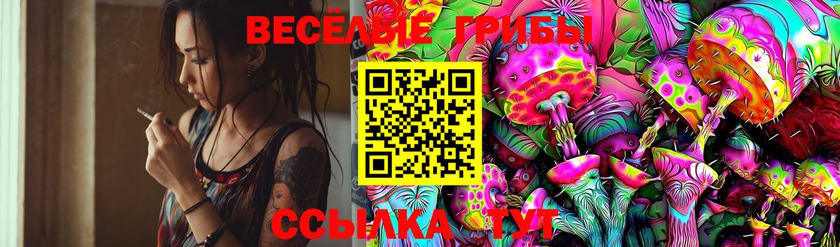 Псилоцибиновые грибы Cubensis  Псилоцибиновые грибы Cubensis  Вход с VPN  Димитровград 